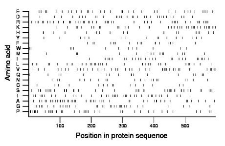 amino acid map