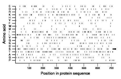 amino acid map