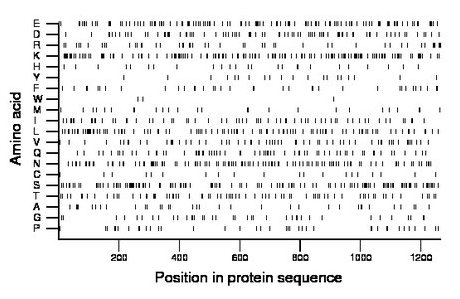 amino acid map