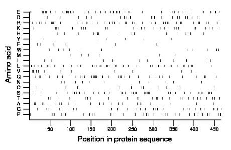 amino acid map