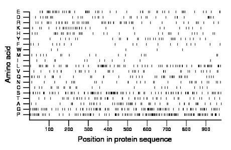 amino acid map