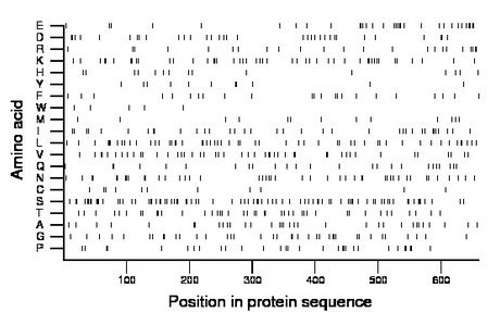 amino acid map