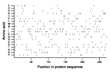 amino acid map