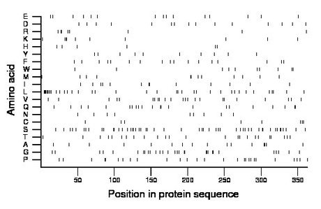 amino acid map