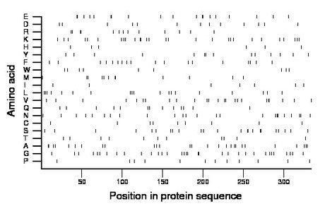 amino acid map