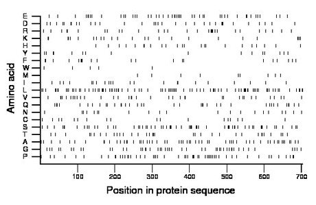 amino acid map