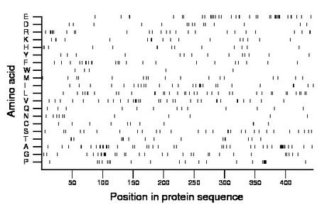 amino acid map