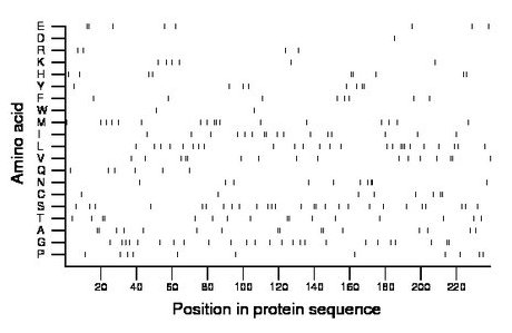 amino acid map