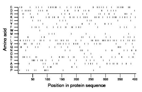 amino acid map