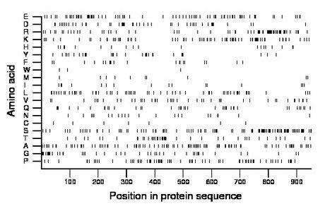 amino acid map