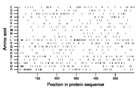 amino acid map