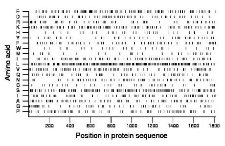 amino acid map