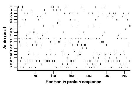 amino acid map