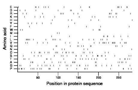 amino acid map