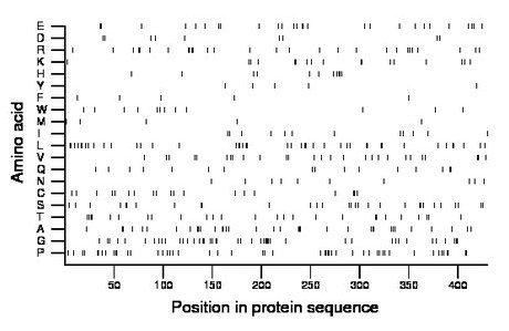 amino acid map