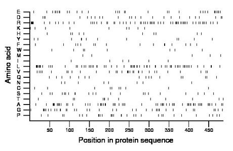 amino acid map