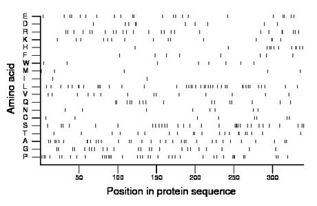 amino acid map