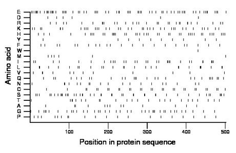 amino acid map