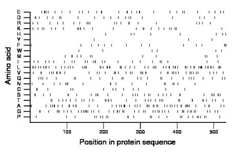 amino acid map