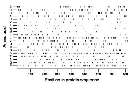 amino acid map