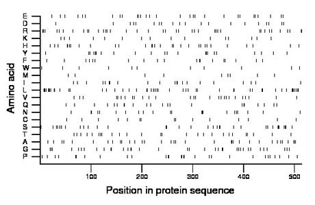 amino acid map