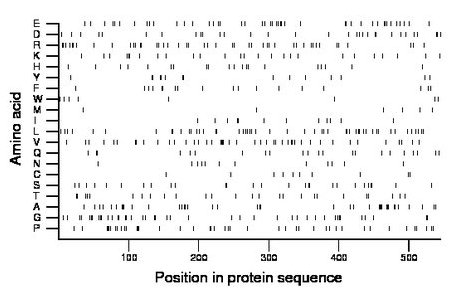 amino acid map