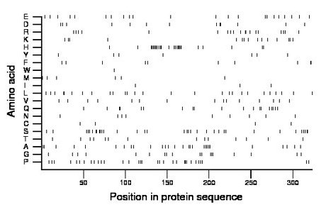 amino acid map