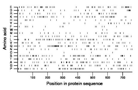 amino acid map