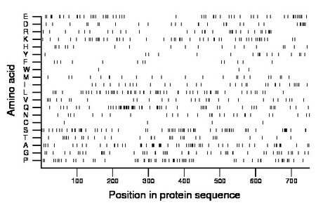 amino acid map