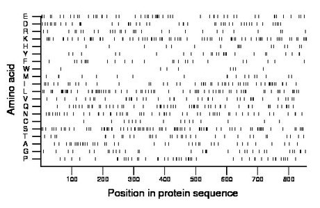 amino acid map