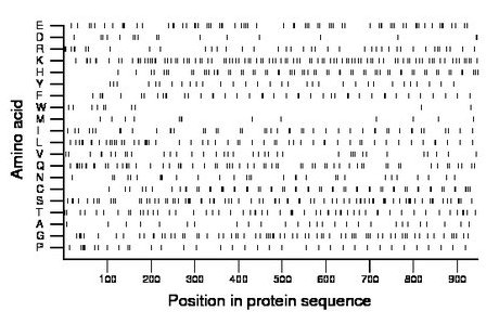 amino acid map