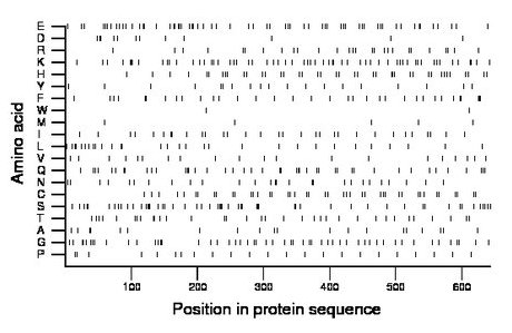 amino acid map