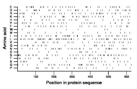 amino acid map