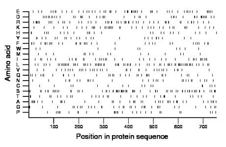 amino acid map