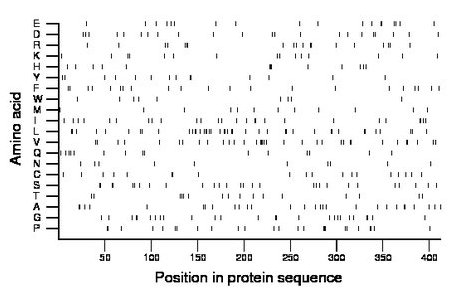 amino acid map