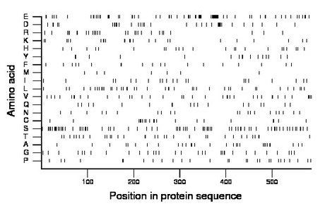 amino acid map