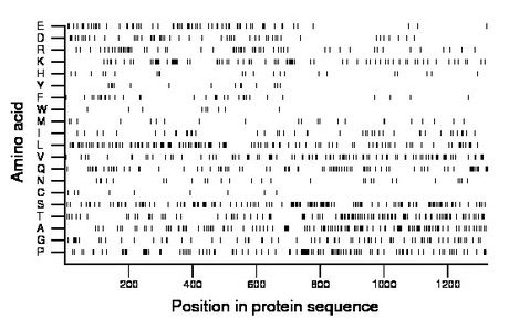 amino acid map