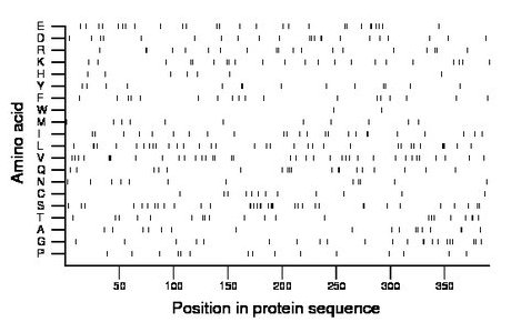 amino acid map