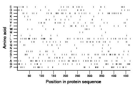 amino acid map