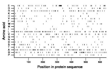 amino acid map