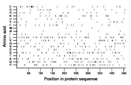 amino acid map