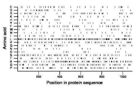 amino acid map