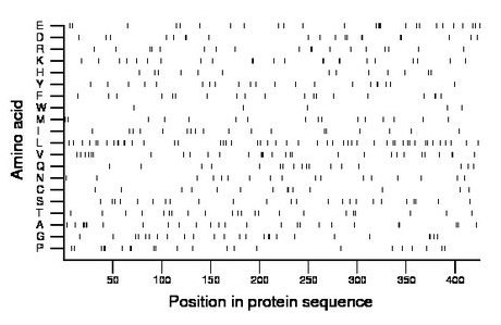 amino acid map