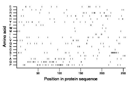 amino acid map