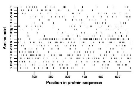 amino acid map