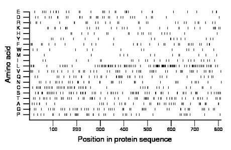 amino acid map