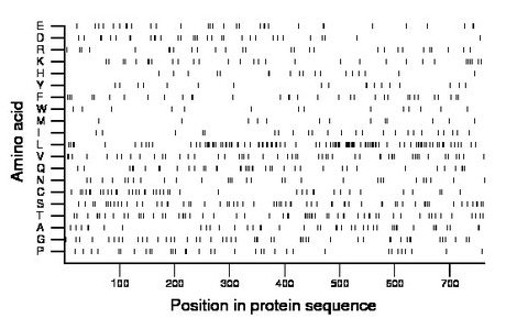 amino acid map