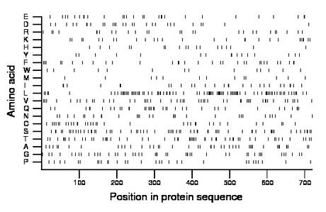 amino acid map