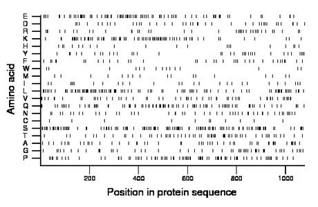 amino acid map