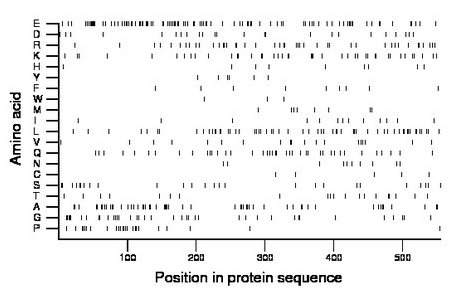 amino acid map